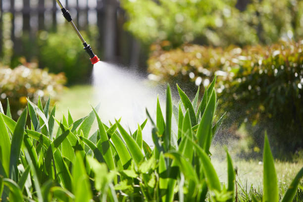 24/7 Emergency Mosquito Control experts in Mosinee, WI